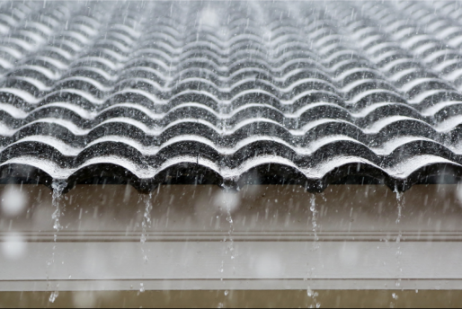 Preventing Roof Leaks - Seneca Insurance